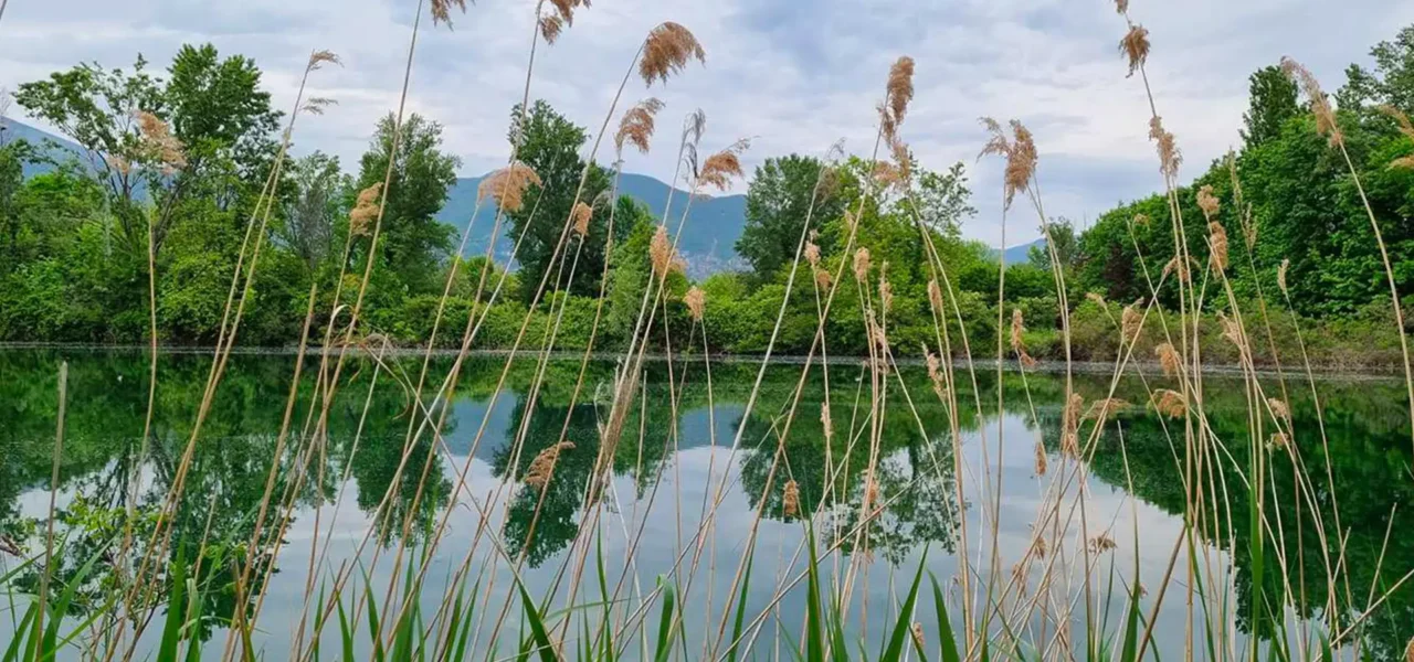 Torbiere del Sebino 3