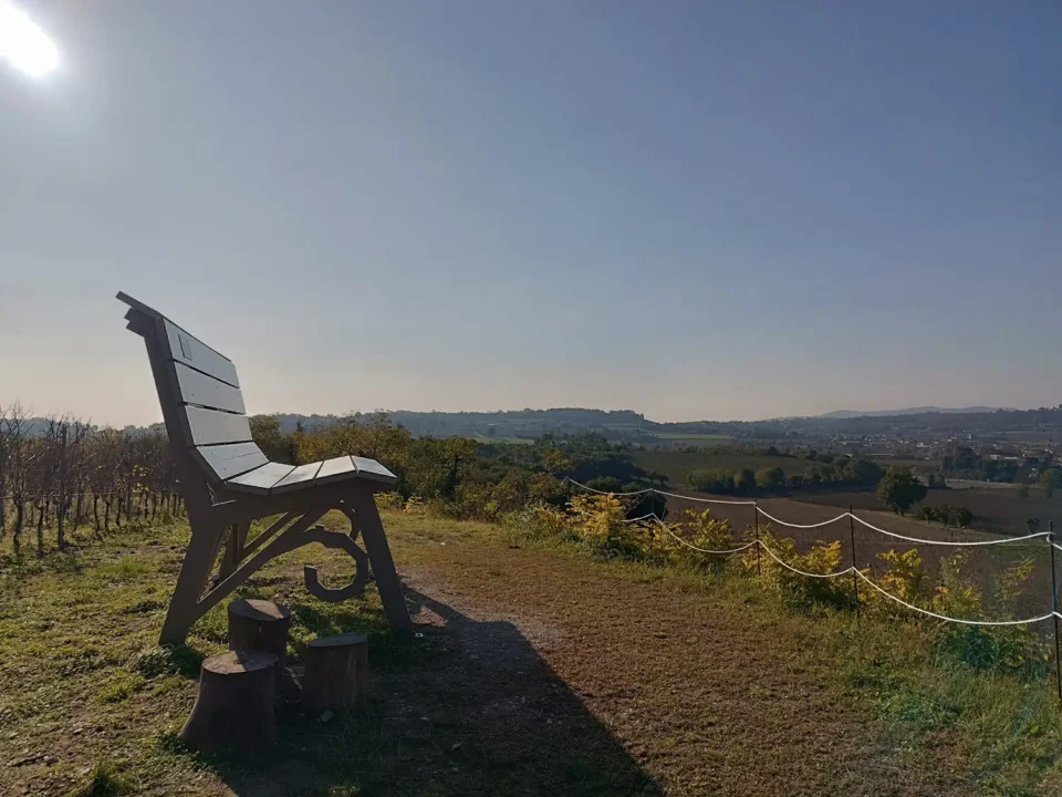 Passeggiata Panchina Gigante Di Borgonato