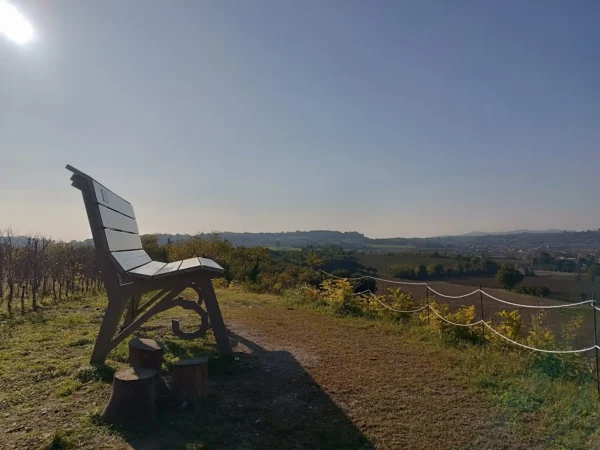 Panchina Gigante Borgonato