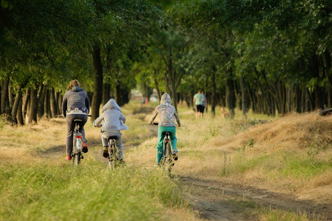 thumbnail Trame di Territorio – Cultura in movimento tra fiume, città e comunità