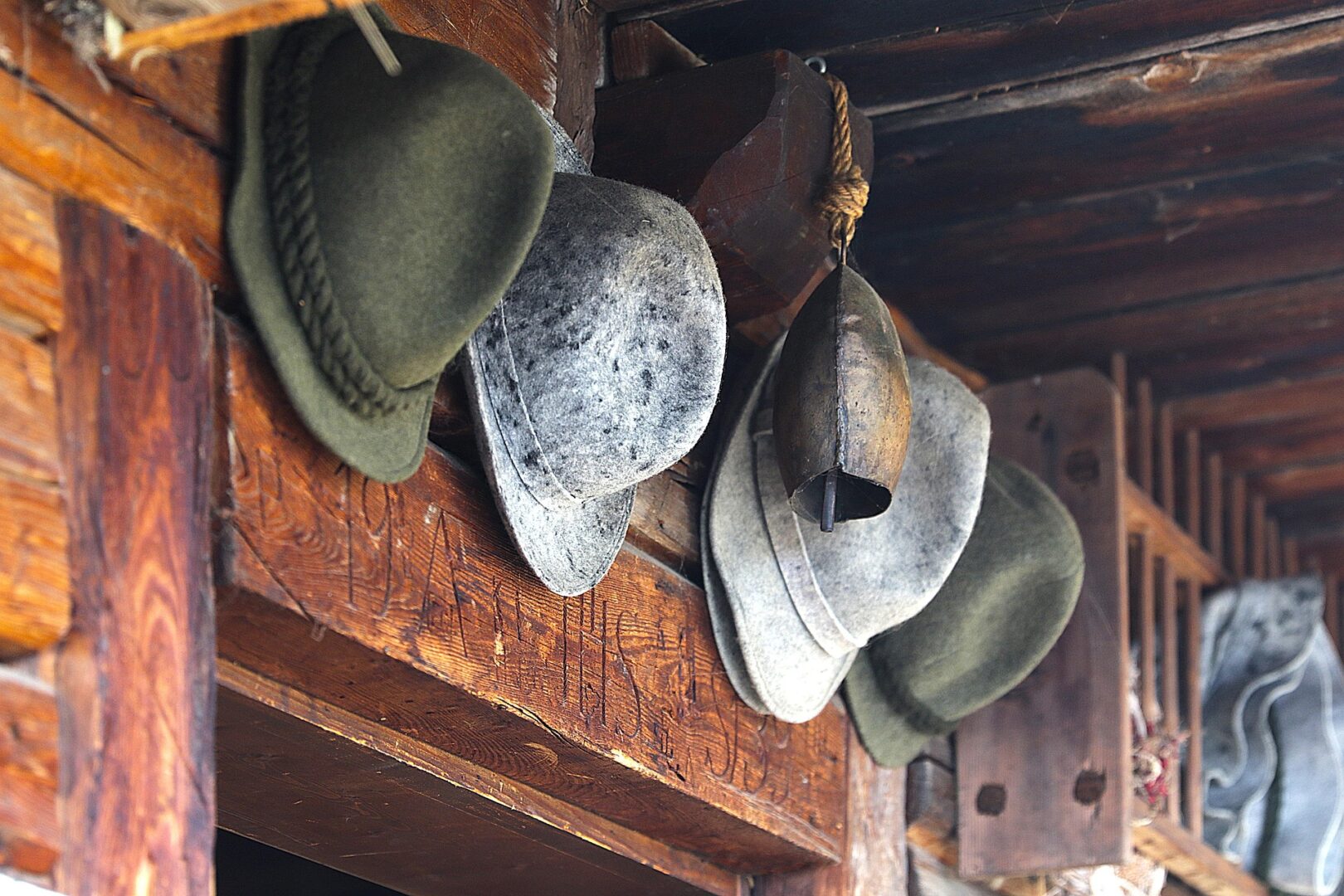 thumbnail A musical narrative with the Alpini Group – “Il Bianco dell’Orizzonte”