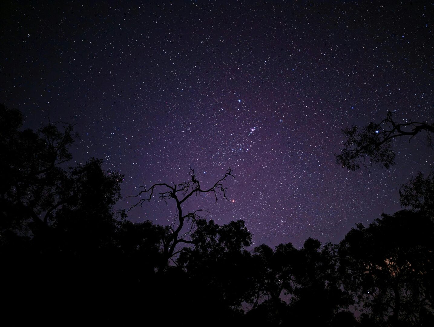 thumbnail Dancing under the stars in Franciacorta