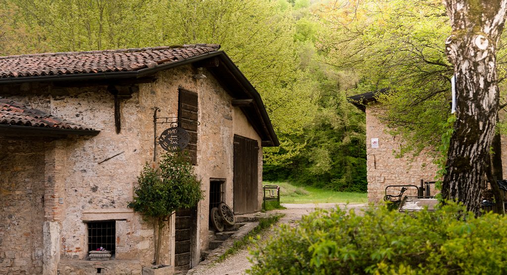 thumbnail Wild Roots – Festival della Mente Selvatica