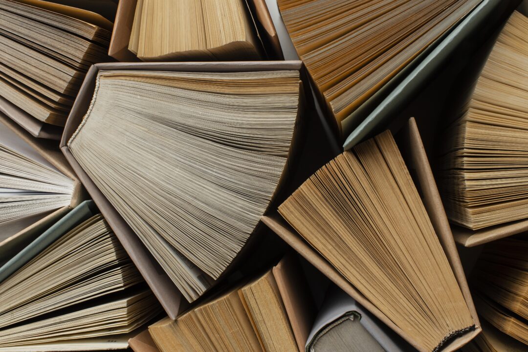 thumbnail Festival di letterature e mondi Alisei – Stefano Tofani “La bestia che cercate”