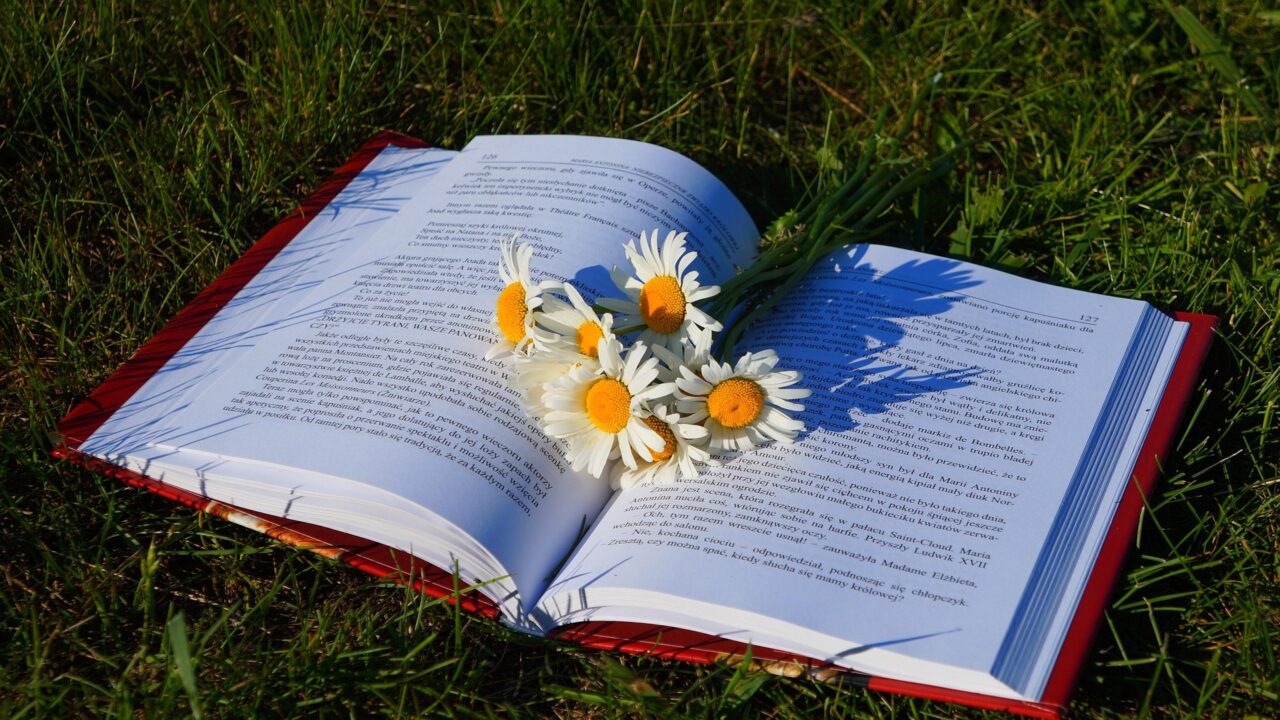 thumbnail Il Maggio dei Libri – Cycle of Meetings with Authors