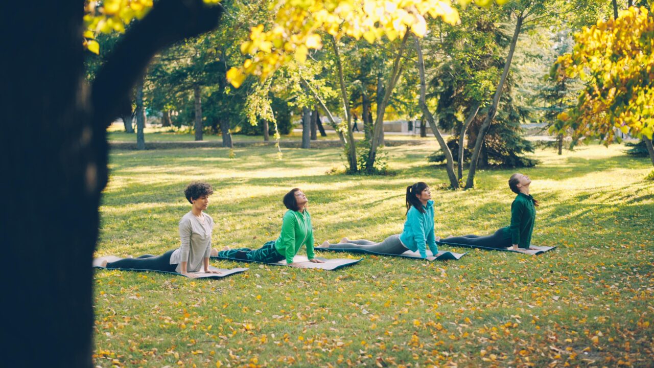 thumbnail STILL YOGA – yoga class