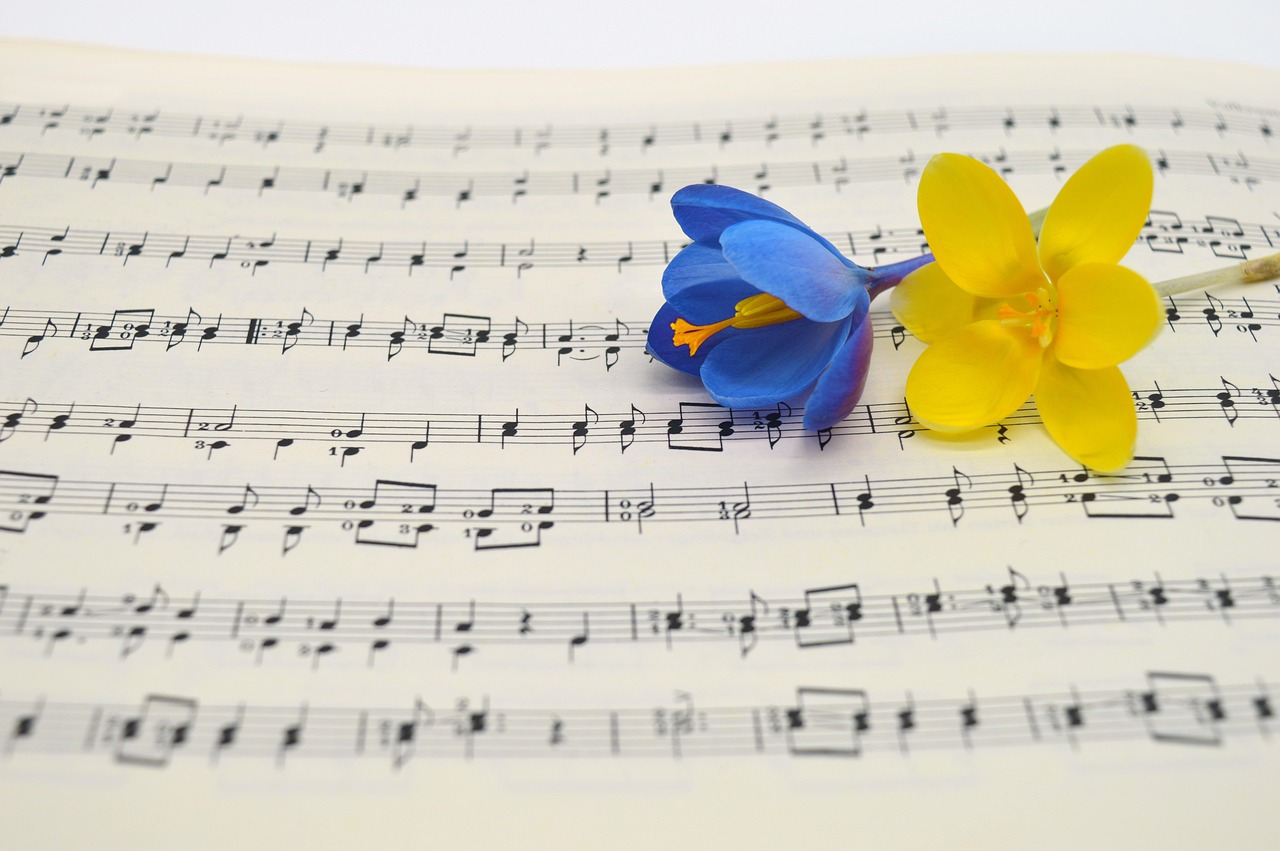 thumbnail Concert “Melodie che uniscono – Un concerto per la vita”