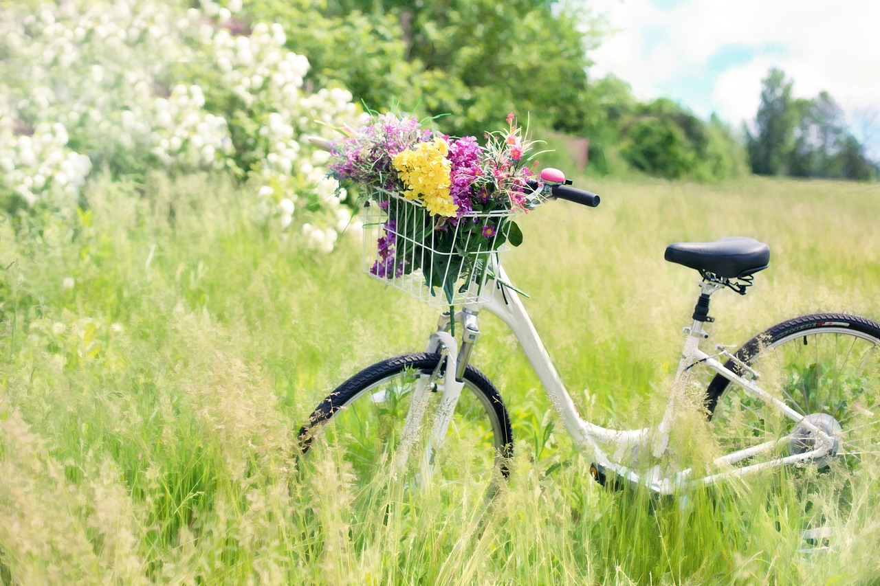 thumbnail Sapori in movimento: E-Bike Tour tra i vigneti del Monte Orfano