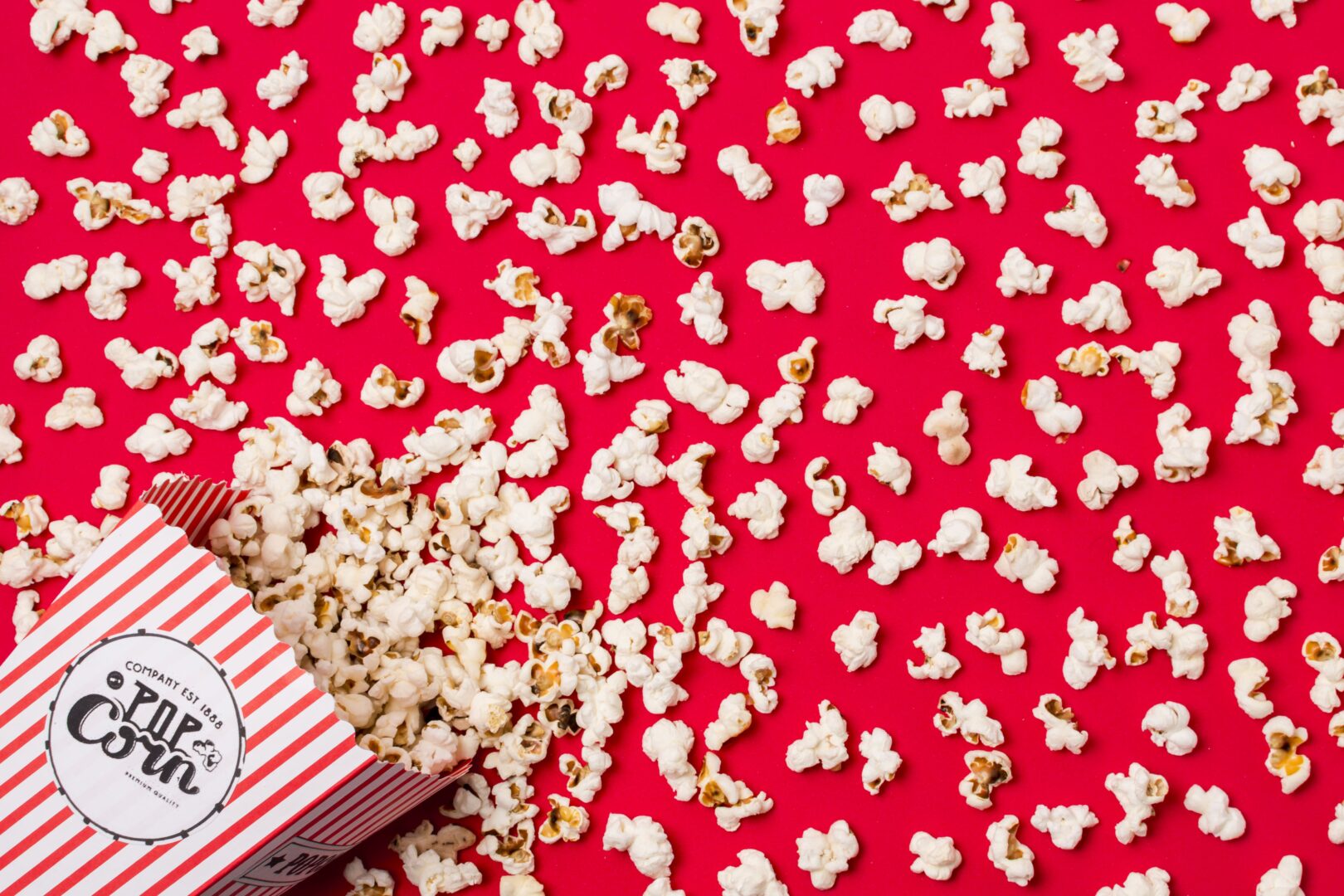 thumbnail Cinema Under the Stars  “Libro della giungla”