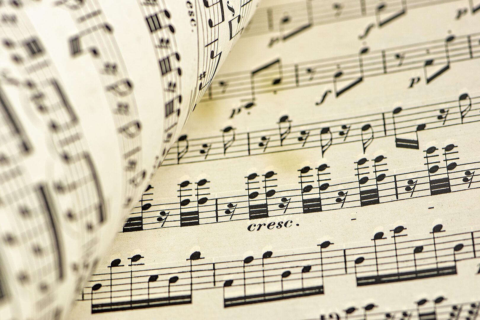 thumbnail Musica da Paderno al Mondo, e Viceversa