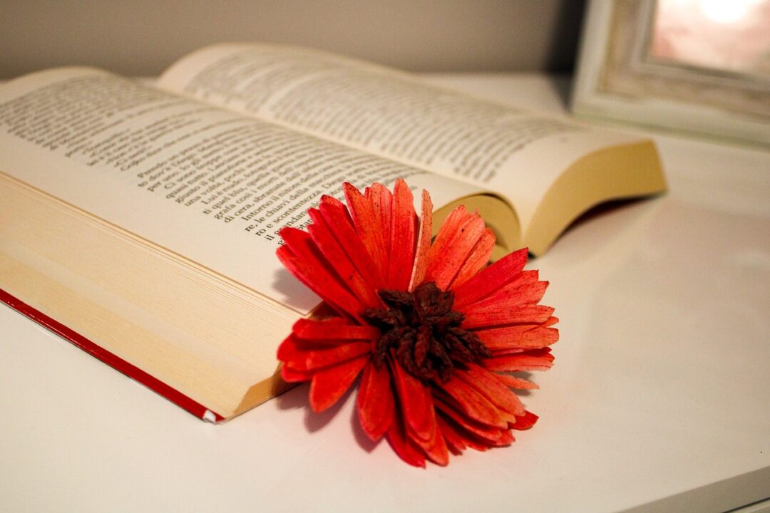 thumbnail Erbusco’s Reading Group