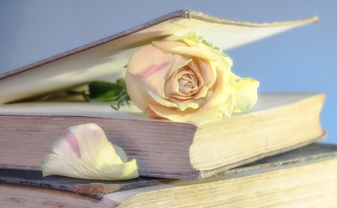 thumbnail Presentazione del libro “Il sole nelle pozzanghere” – Mi Libro 2026